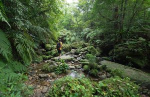 Netravali Wildlife Sanctuary